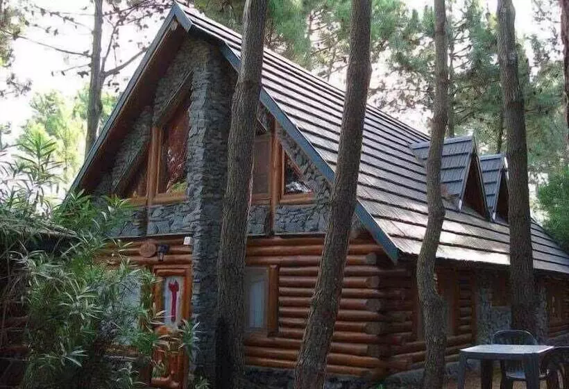 Cabañas Mapuche