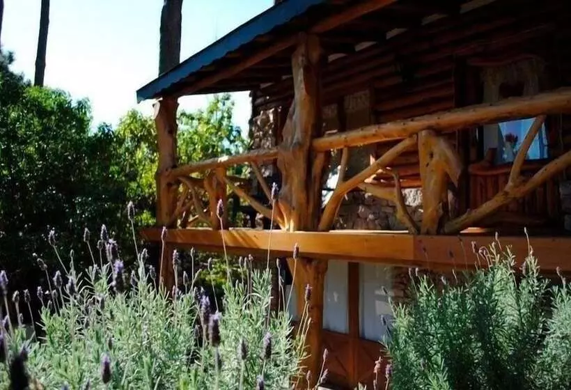 Cabañas Mapuche