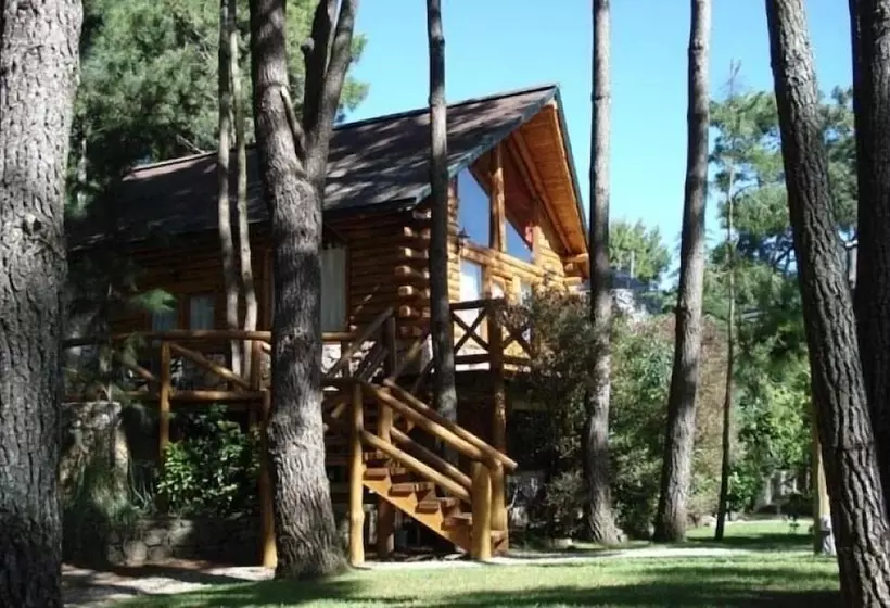 Cabañas Mapuche