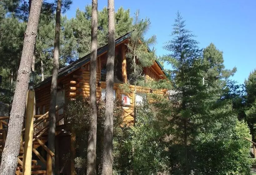 Cabañas Mapuche