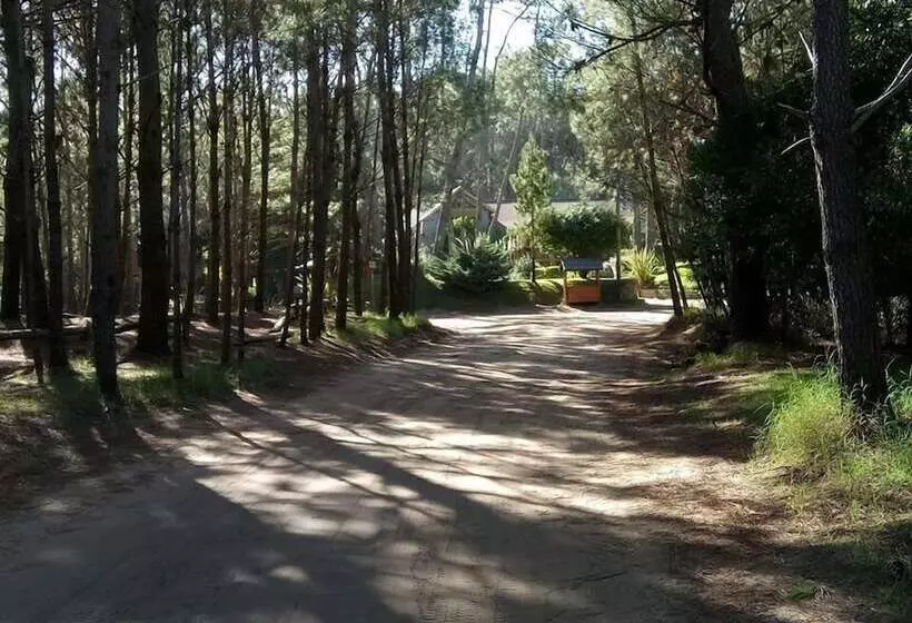Cabañas Mapuche