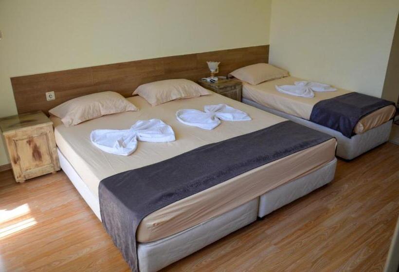 پانسیون Edelvais Guest House