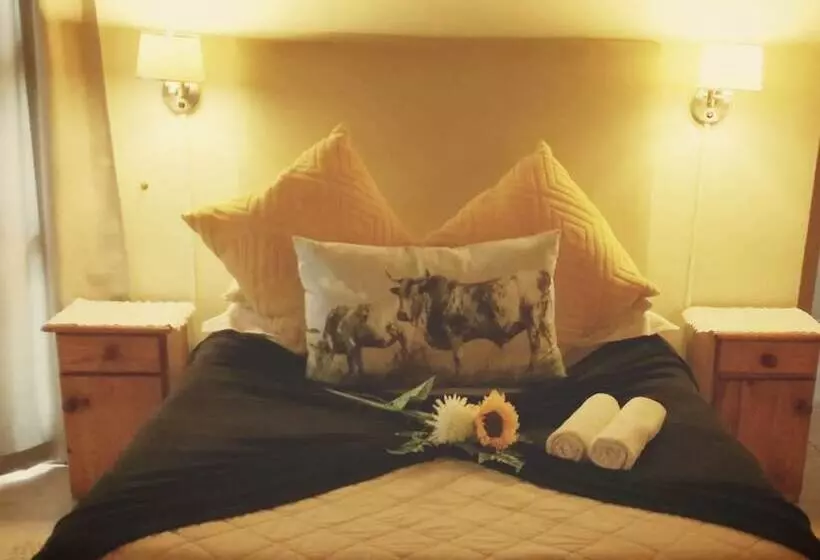 ペンション Framesby Guesthouse