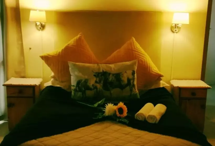 ペンション Framesby Guesthouse