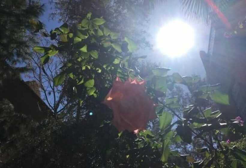 بنسيون Le Sauvage Noble