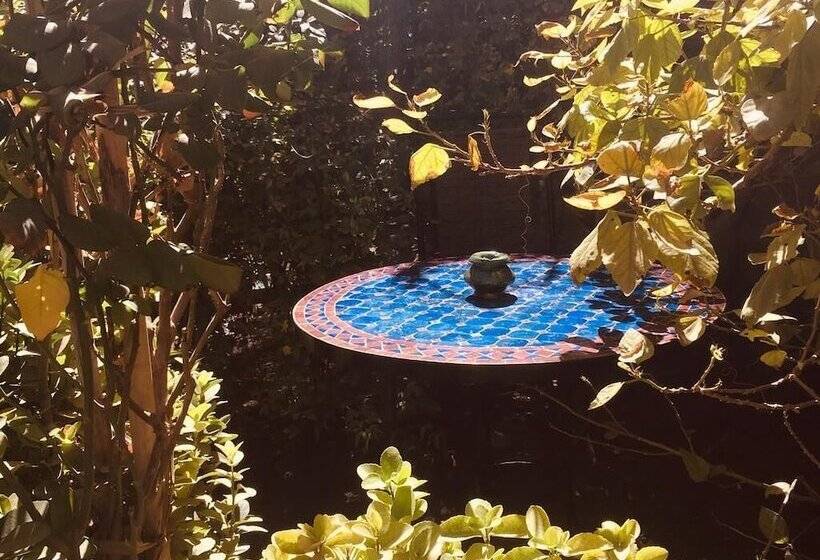 بنسيون Le Sauvage Noble