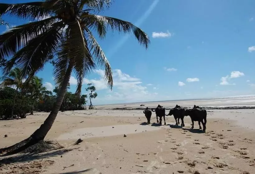 Majatalo Pousada Asa Branca