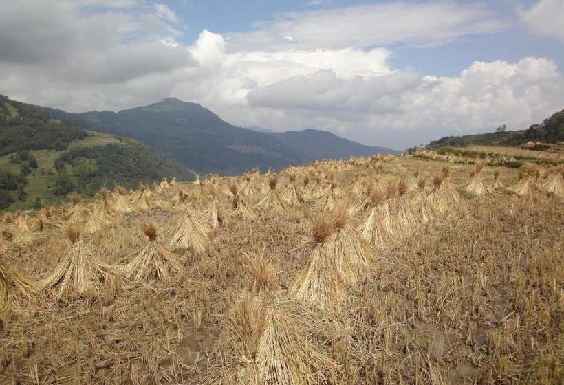 Pension Yuanyang Flower And Horse Inn