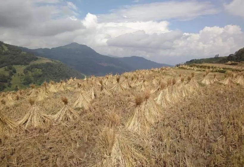 Majatalo Yuanyang Flower And Horse Inn