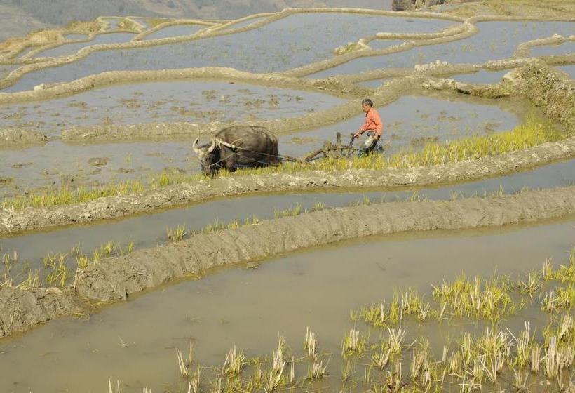 Pension Yuanyang Flower And Horse Inn