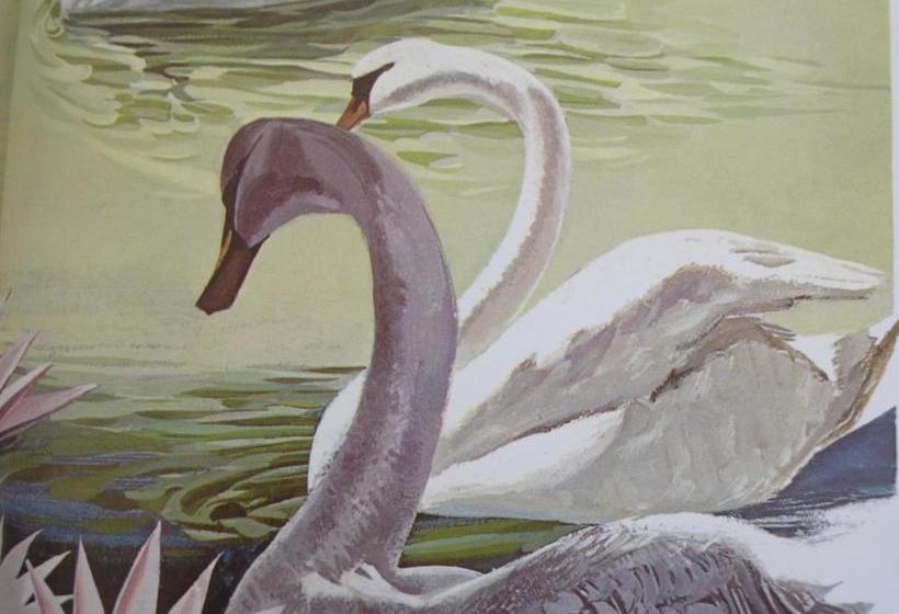 Pension Yuanyang Flower And Horse Inn