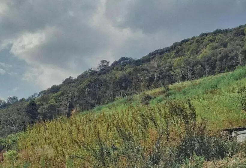 Majatalo Yuanyang Flower And Horse Inn