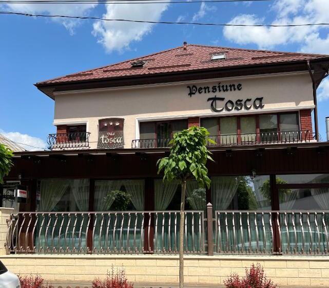 Pensiune Turistica Tosca