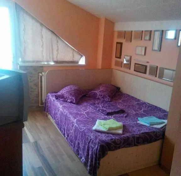 Pensiunea Nicol Tulcea