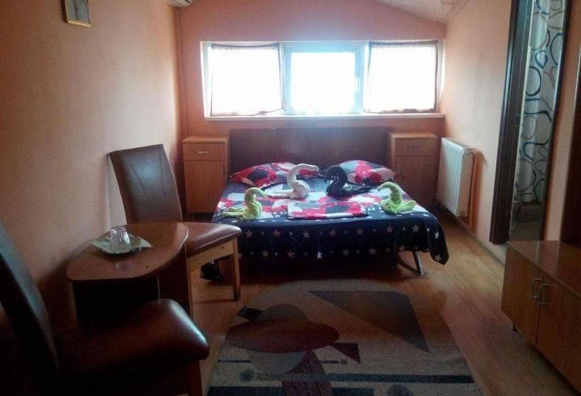 Pensiunea Nicol Tulcea