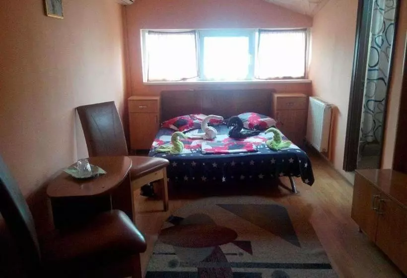 Pensiunea Nicol Tulcea