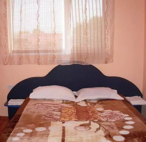 Pensiunea Nicol Tulcea