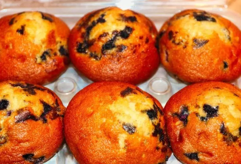 Auberge Motel 4 Saisons