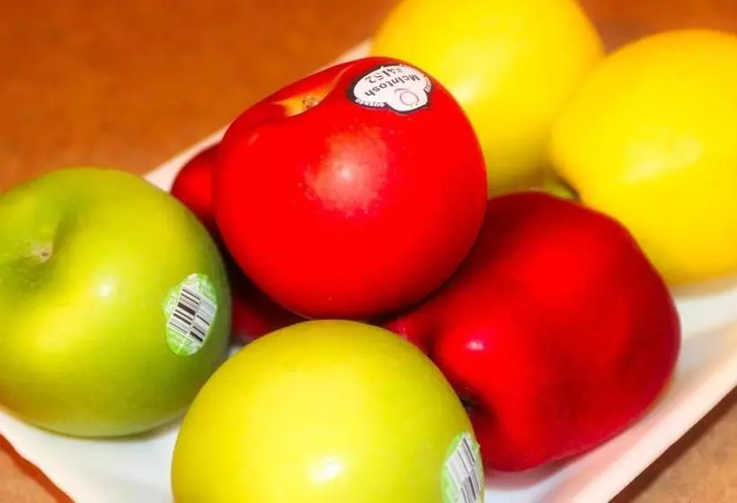 Auberge Motel 4 Saisons