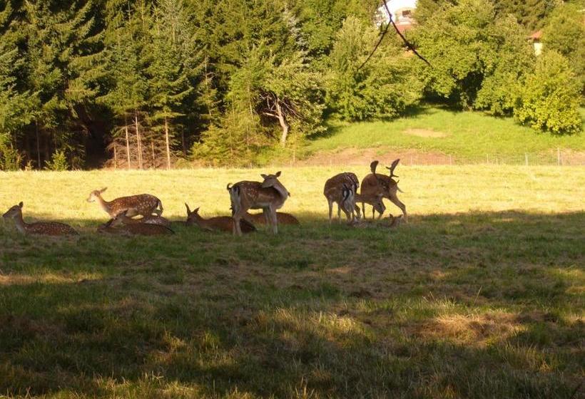 Albergue Hirschenhof