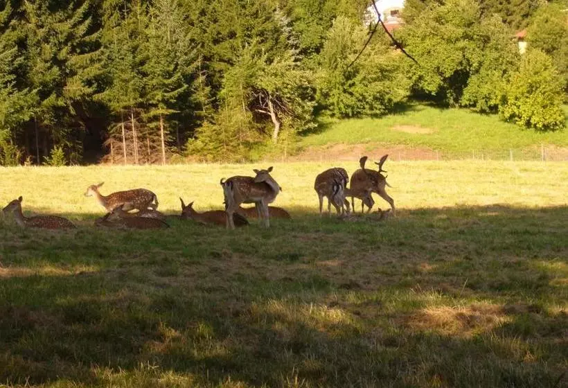 Ostello Hirschenhof