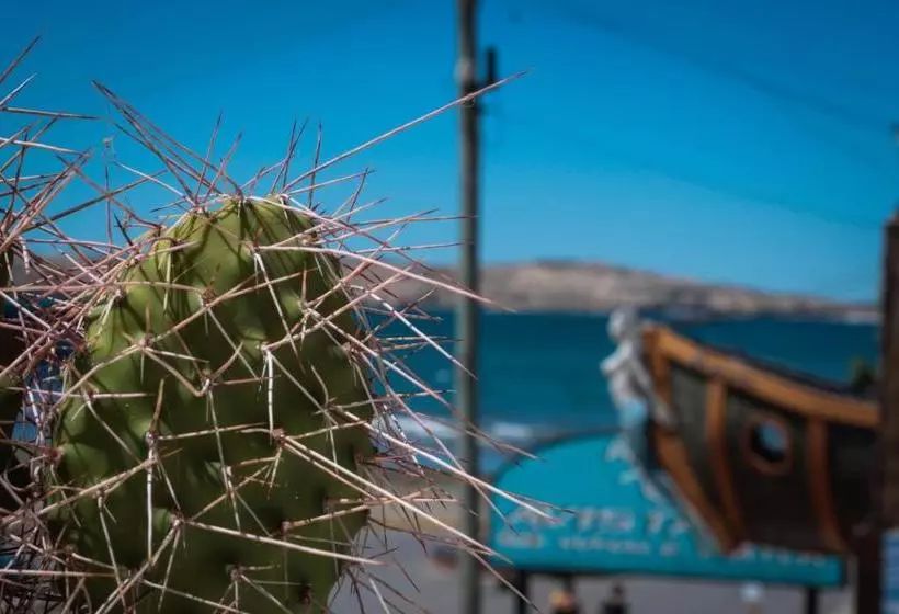 Retkeilymaja Hosteria Puerto Palos