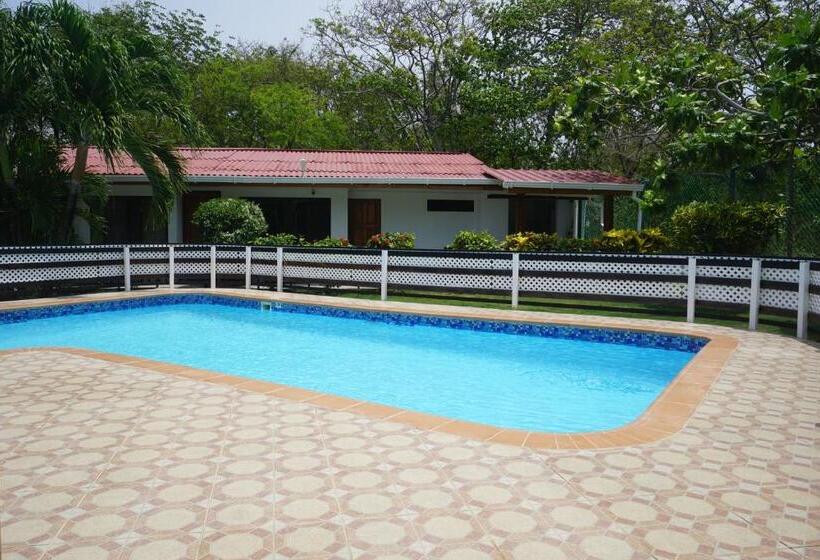 Pension Cozy Cottage Posada Turistica