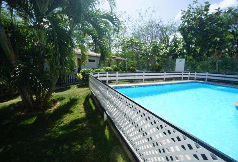 Pension Cozy Cottage Posada Turistica