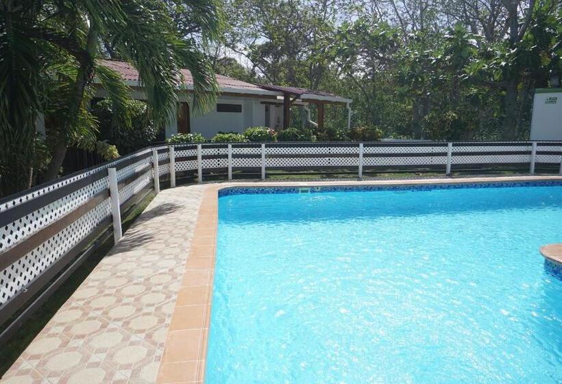 Pension Cozy Cottage Posada Turistica