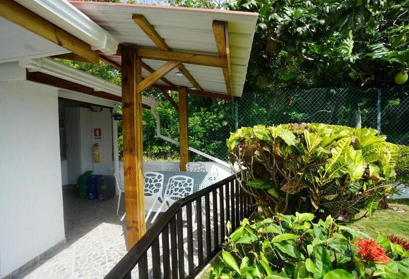 Pension Cozy Cottage Posada Turistica