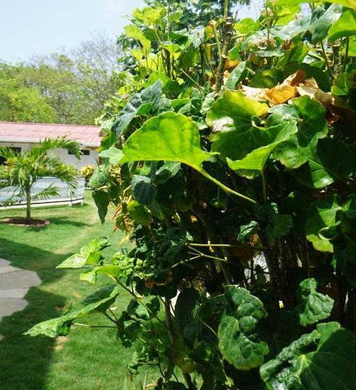 Pension Cozy Cottage Posada Turistica