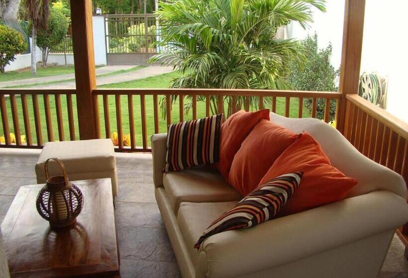 Pension Cozy Cottage Posada Turistica