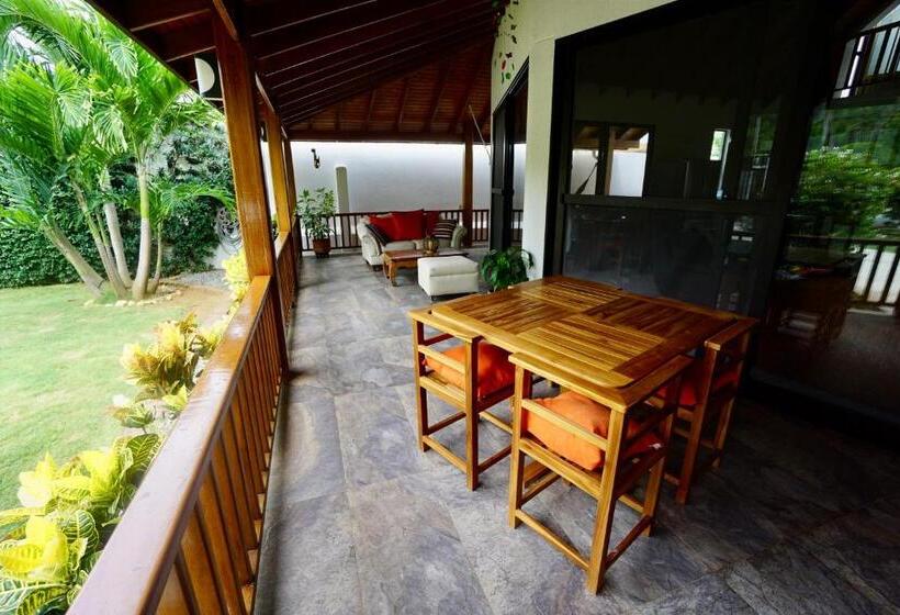 Pension Cozy Cottage Posada Turistica