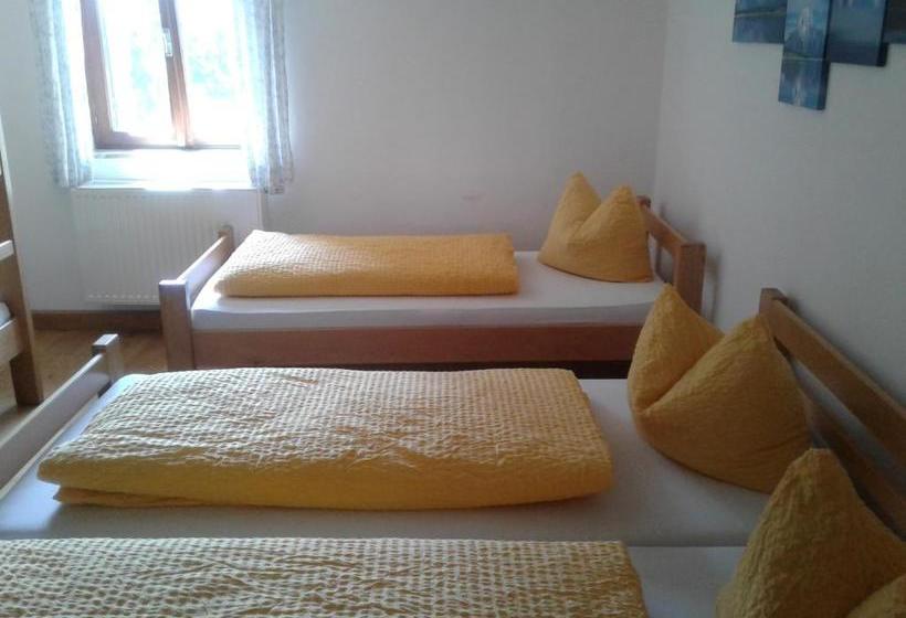 פנסיון Hostel Halleiner Hütte