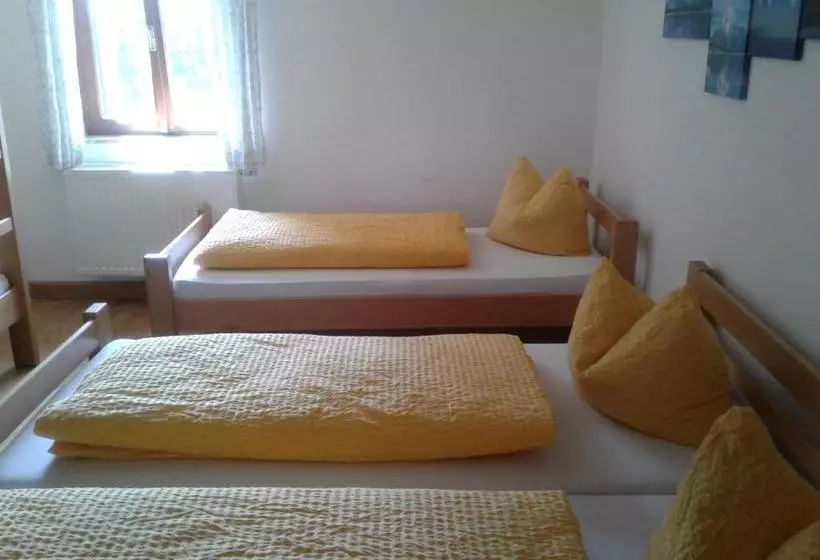 ペンション Hostel Halleiner Hütte