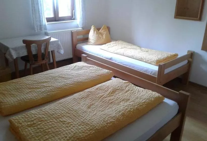 ペンション Hostel Halleiner Hütte