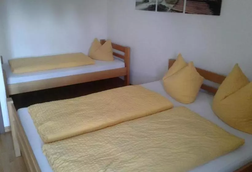 ペンション Hostel Halleiner Hütte