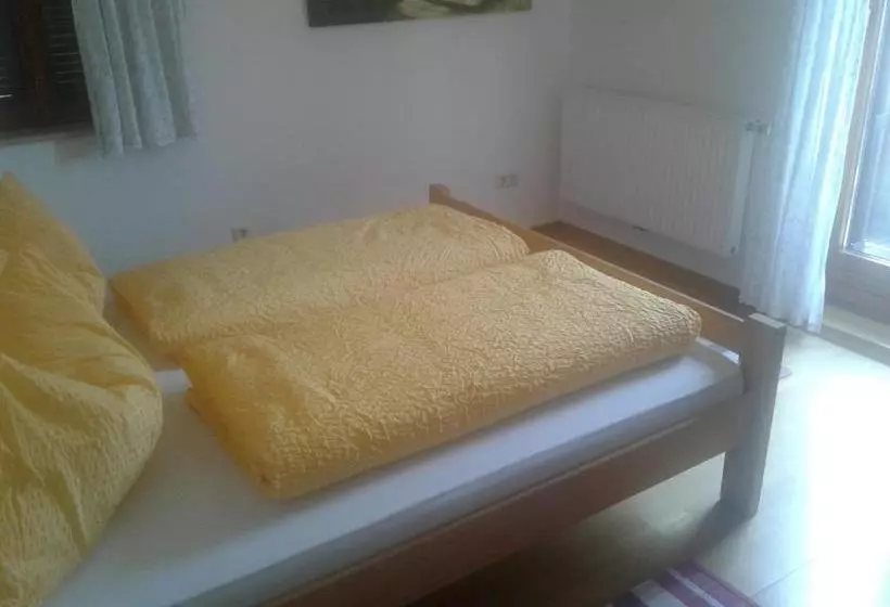 ペンション Hostel Halleiner Hütte