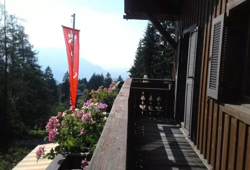 ペンション Hostel Halleiner Hütte