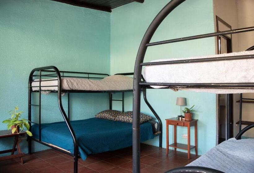 Pension Hostel La Botella De Leche Tamarindo