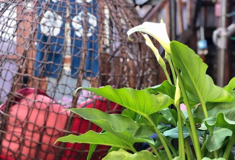 Пансион Jayden Naxi Lodge臣安土木纳西小院 Namaste