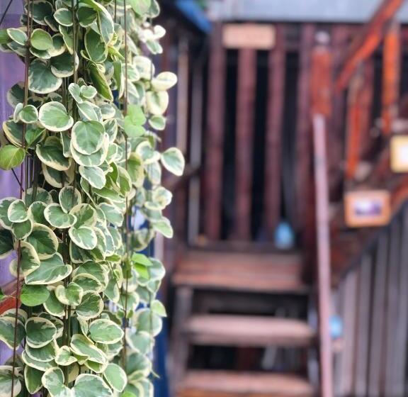 Пансион Jayden Naxi Lodge臣安土木纳西小院 Namaste