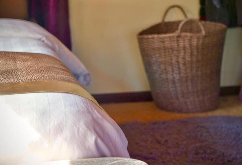 Пансион Jayden Naxi Lodge臣安土木纳西小院 Namaste