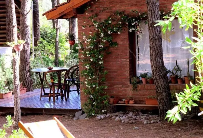 Rincón De Los Vientos