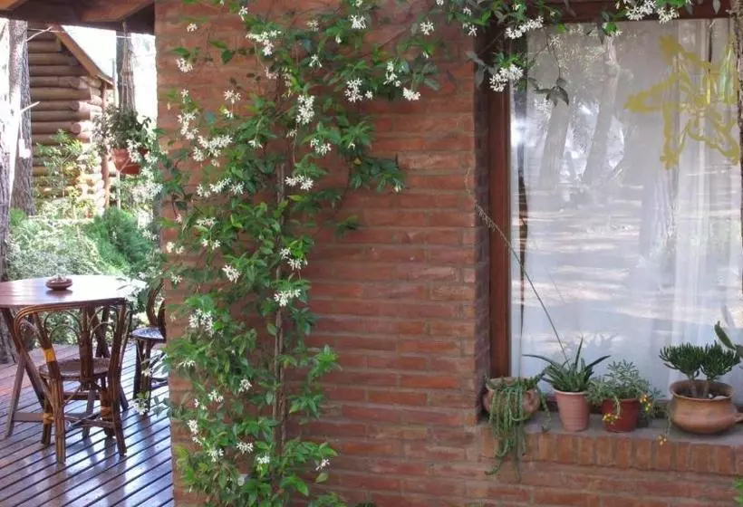 Rincón De Los Vientos