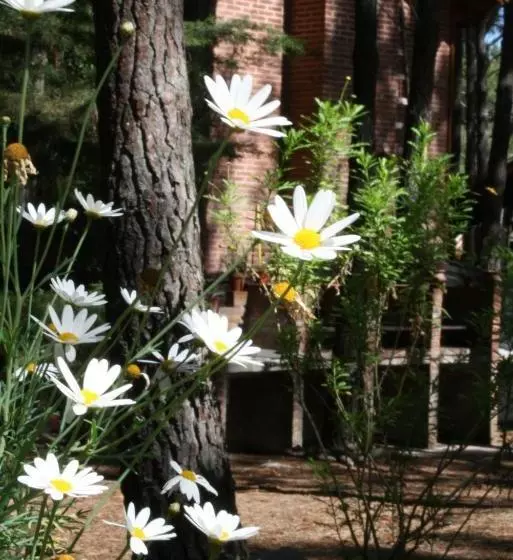 Rincón De Los Vientos