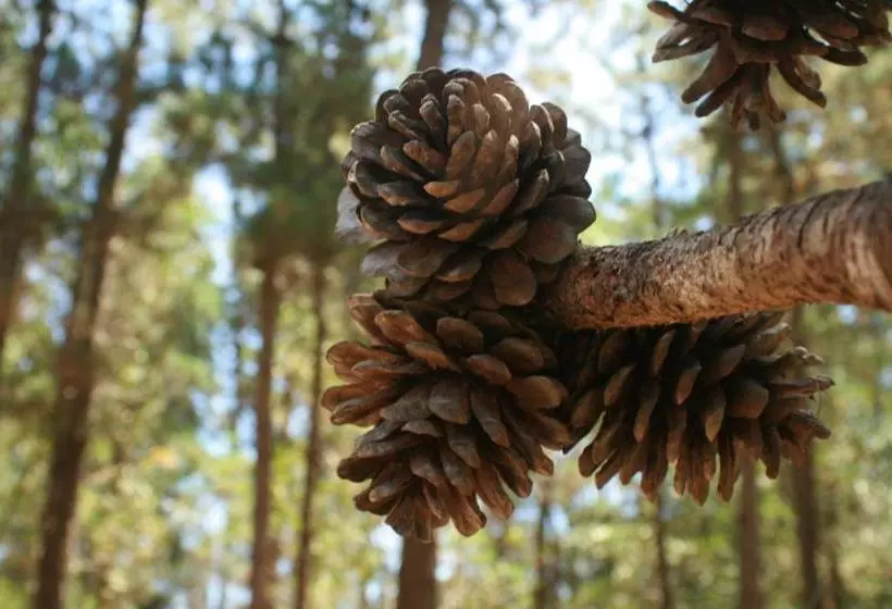 Rincón De Los Vientos