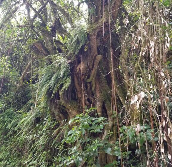 Szálló Hacienda San Isidro Trails & Experiences