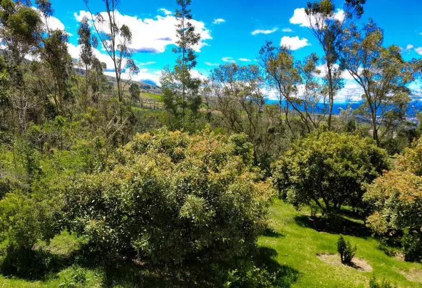 ユースホステル Hacienda San Isidro Trails & Experiences