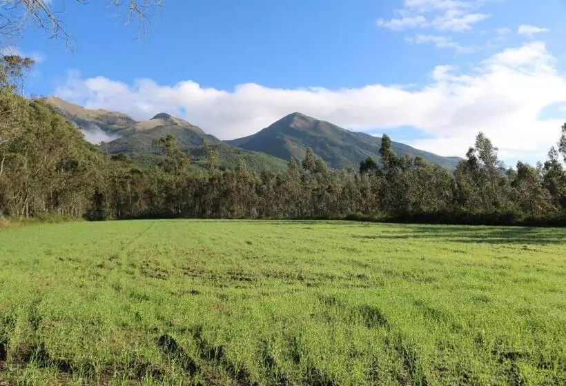 ユースホステル Hacienda San Isidro Trails & Experiences